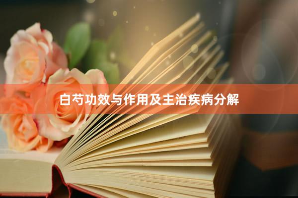 白芍功效与作用及主治疾病分解